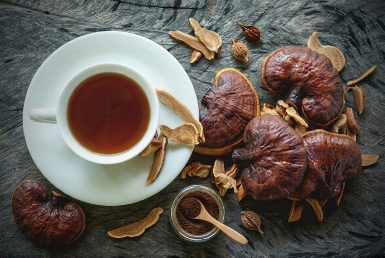 Reishi mushroom superfood benefits